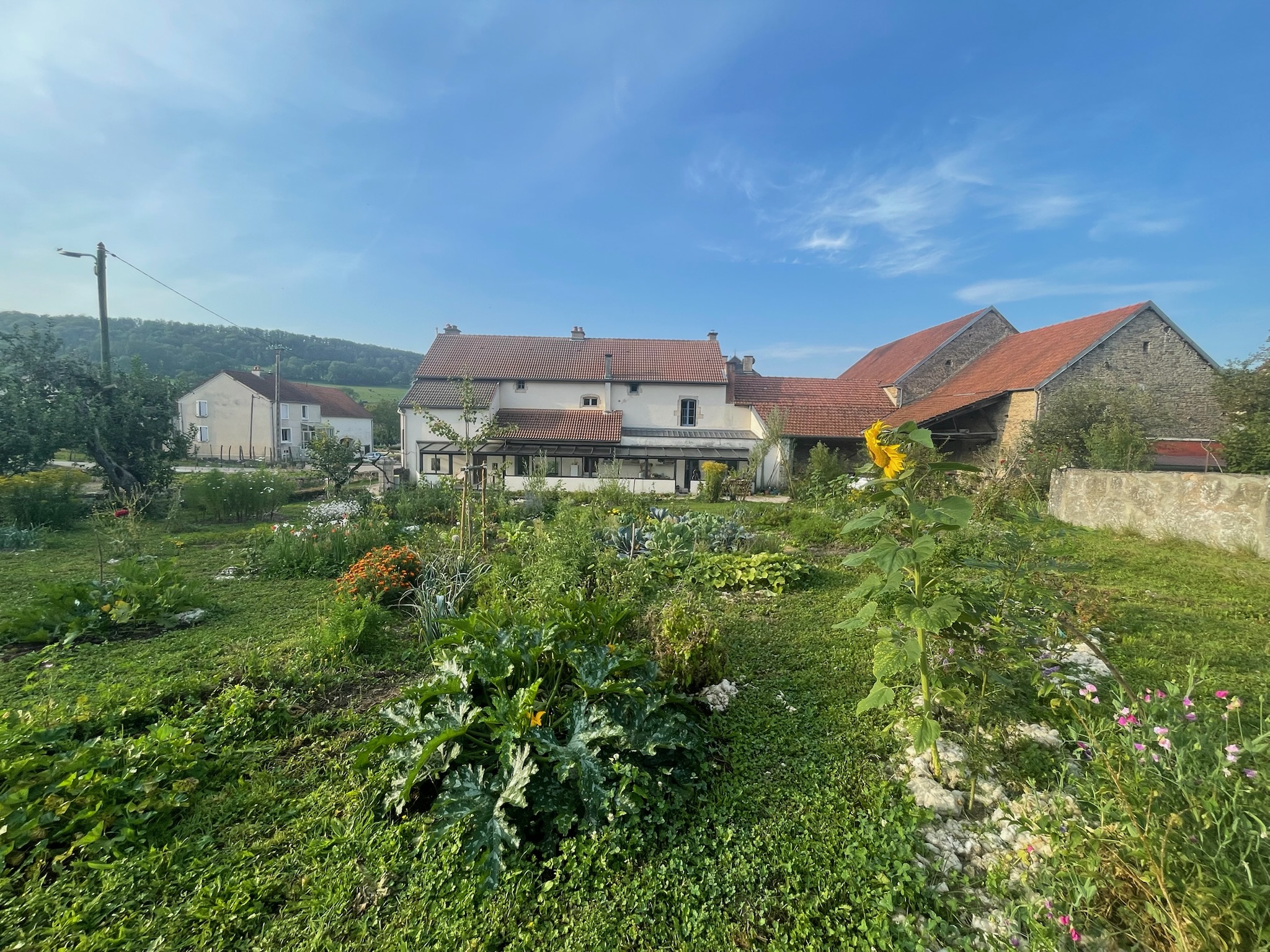 vue de la maison et du jardin